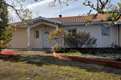 WhatsApp Image 2026-04-21 at 22.06.17_59